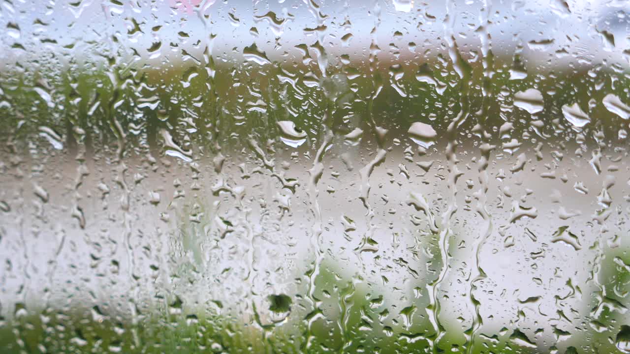 비가 오는 날 창문을 통해 볼 수 있는 풍경