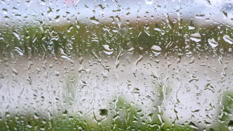 rainy day view through a window