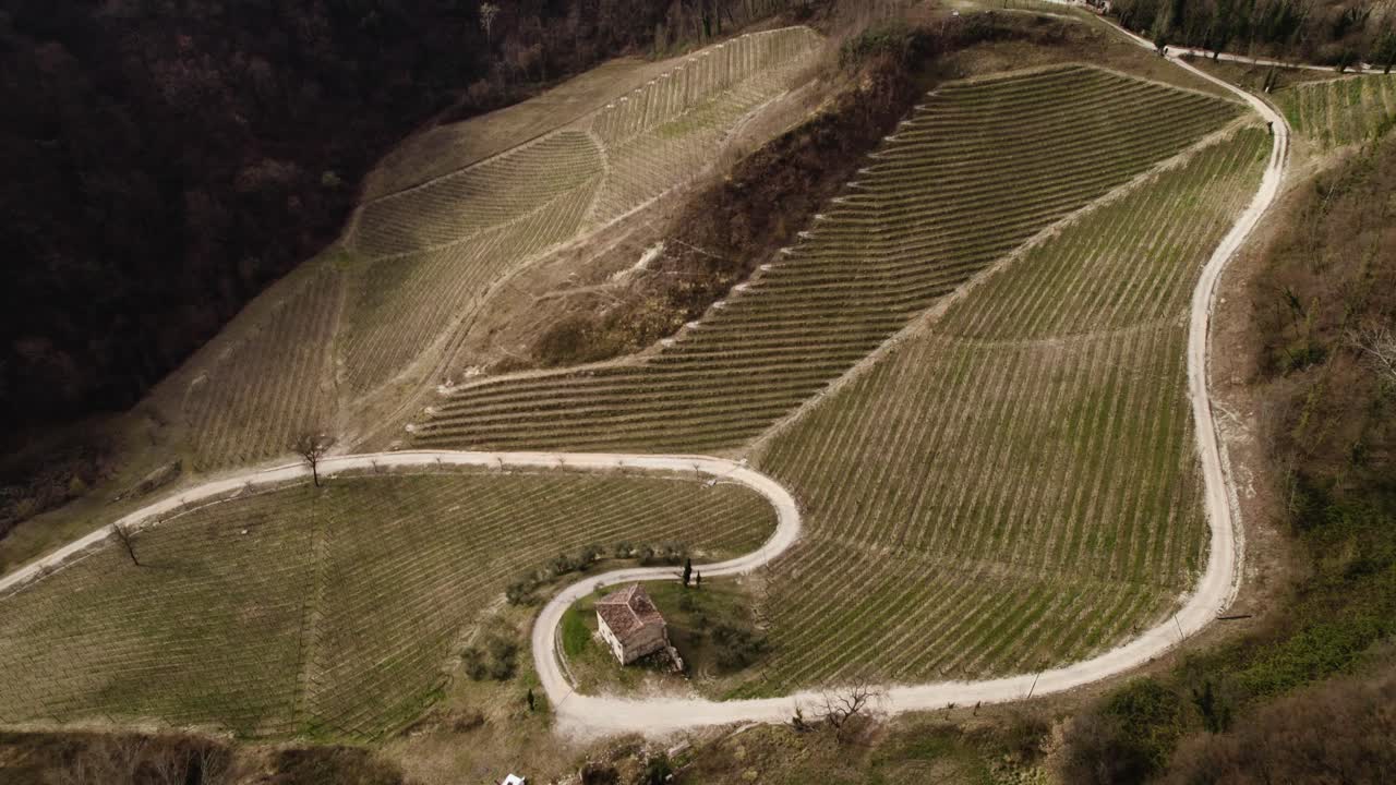 Vista aerea panoramica di una strada che si snoda tra i filari di vigneti nelle colline del Prosecco italiane, in una giornata invernale.