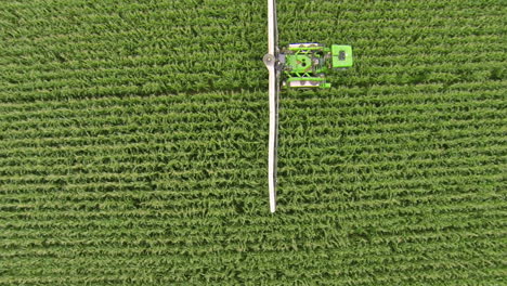 pulverizador moviéndose a través del campo de maíz, aplicando protección de cultivos