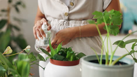 woman watering houseplants