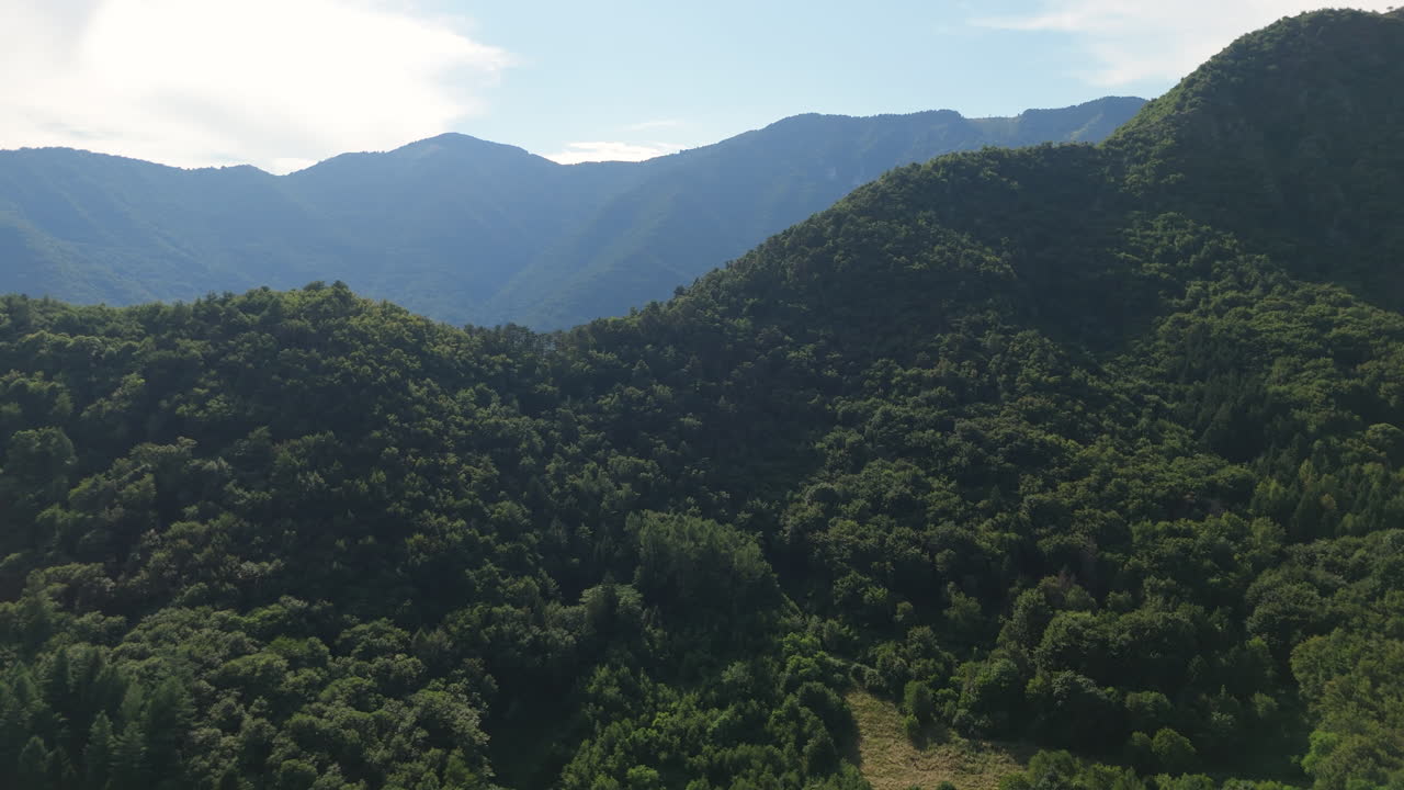 Aerial drone view of lush green forest covering mountain slopes under a clear summer sky
