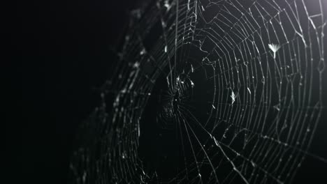 stark contrast illuminates this spooky spider web as it wavers in the breeze.