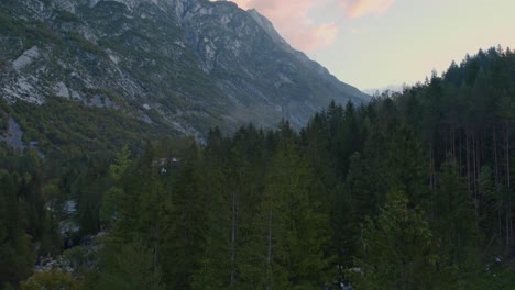 Drone-flies-above-pine-trees-forrest-in-Julian-Alps-Slovenia,-aerial-shot