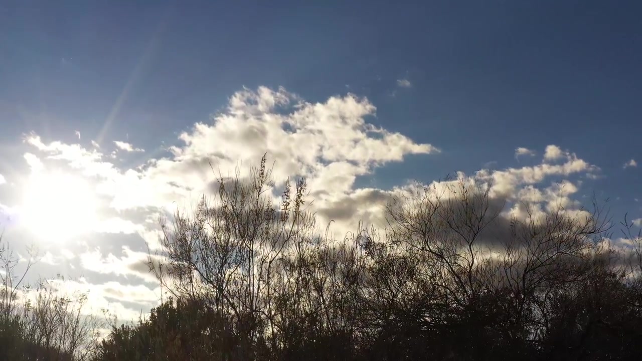 Gyldent sollys, der skinner gennem bare trægrene i et fredfyldt marokkansk landskab under en klar blå himmel med bløde skyer. Naturlig cinematisk natur, ideel til rejser, natur, sæsonbestemt indhold.
