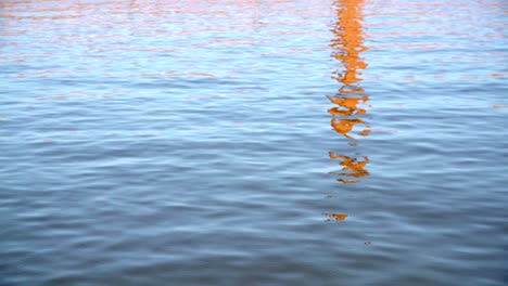 Hipnótico-Reflejo-En-El-Agua-Filmado-En-Los-Muelles-De-Belfast,-Hogar-Del-Titanic,-En-Un-Día-De-Verano.