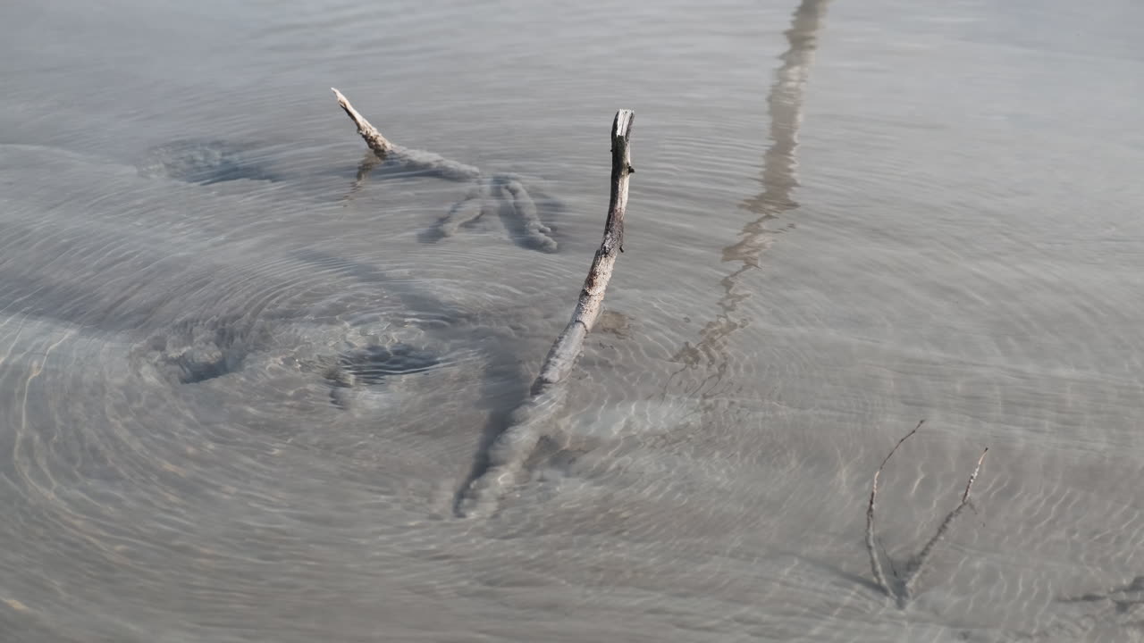 뉴질랜드 의 투명 한 지열 수영장