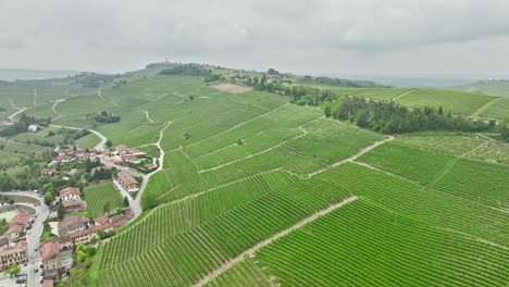 Wunderschöne-Italienische-Weinberge