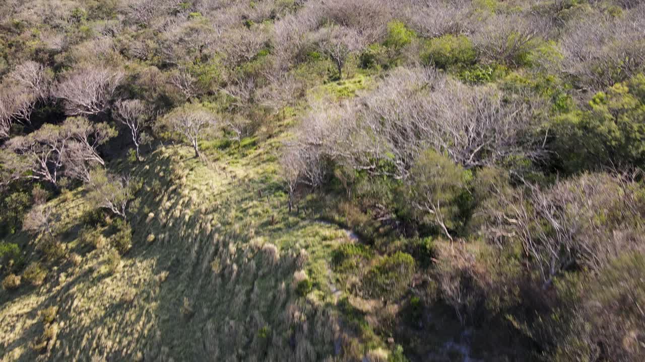 imágenes aéreas de drones tranquilos, pacíficos y relajantes sobrevolando un paisaje rural hacia un valle de verdes colinas y montañas, monteverde, costa rica
