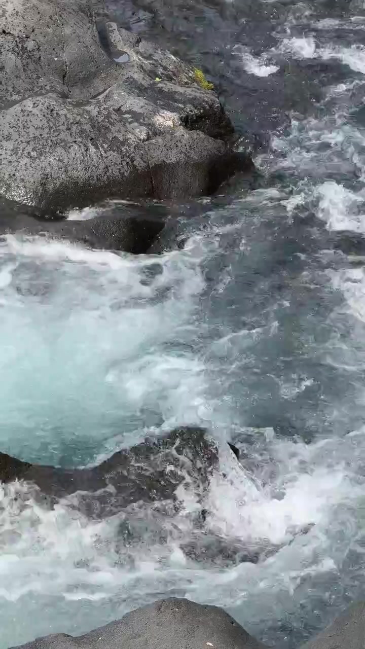 Bicchiere di plastica che galleggia lungo un ruscello di montagna roccioso.