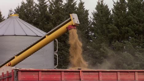 slomo of dusty barley being augered into a grain truck and beginning to pile up higher than the truck box