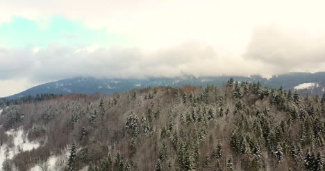 Aerial-View-Of-Forest-Covered-With-Snow-In-Mountains-5