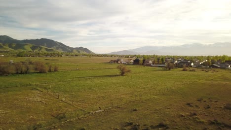 drone volando bajo hacia un árbol solitario en un valle brillante durante la puesta de sol