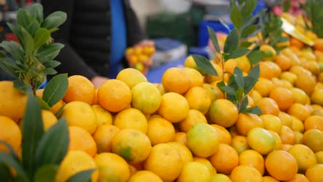 fresh oranges at the market