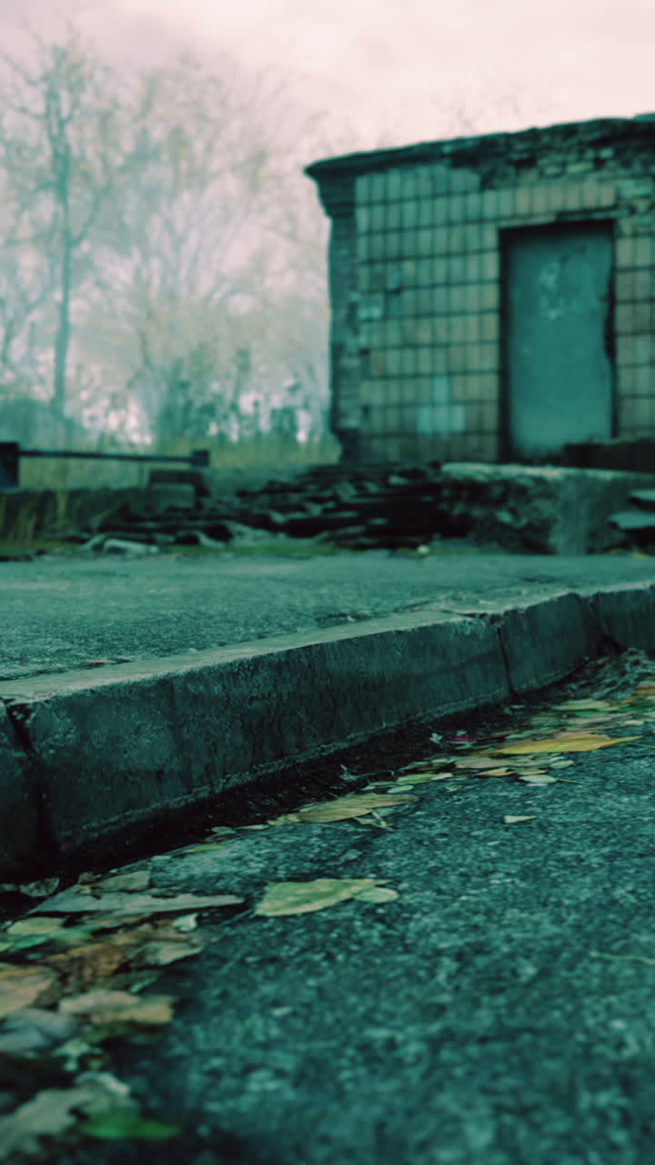 무서운 가을 장면: 버려진 건물과 잔디로 인 거리