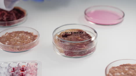 lab experiment with cultured and soy meat