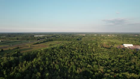 imágenes amplias de drones aéreos sobre bosques de coníferas durante la noche