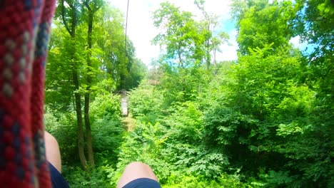 a man tied to a rope descends down above the forest tree branches-1