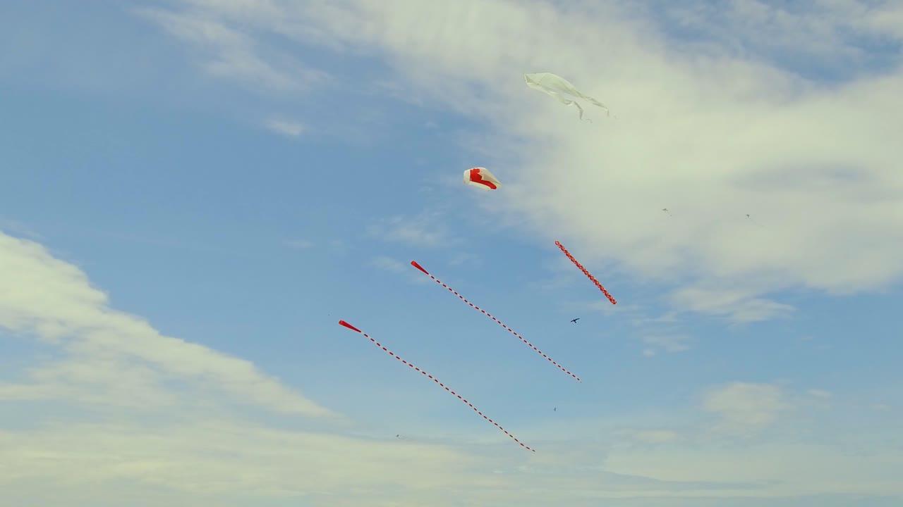 turistas volando cometas en brenton point en newport rhode island