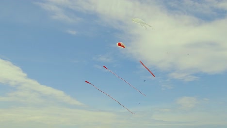 tourists flying kites at brenton point in newport rhode island