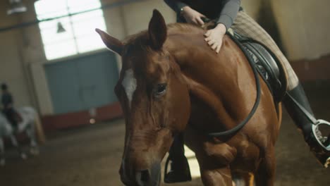 footage of horse's legs running through stable.