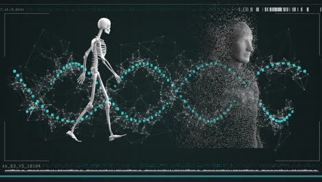 animation von dna-strängen und datenverarbeitung mit menschlichen skelettkörpern, die mit explodierenden partikeln gebildet wurden