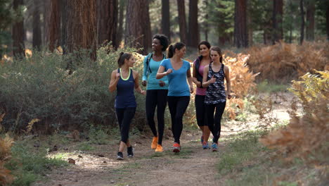 Gruppe-Von-Fünf-Läuferinnen,-Die-Sich-Unterhalten,-Während-Sie-Durch-Einen-Wald-Laufen