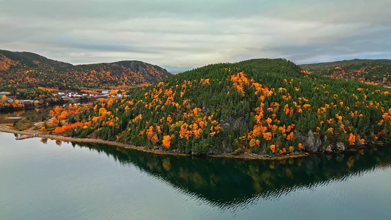 Rural Newfoundland village nestled below a towering rocky mountain; golden-leaved trees line the streets among houses and forests in a sweeping aerial