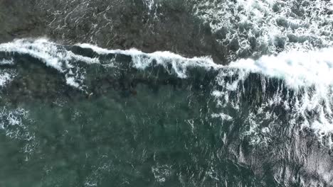 Green-sea-turtles-in-Maui,-Hawaii.-Aerial-view