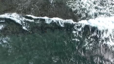 green sea turtles in maui, hawaii. aerial view
