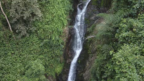 pan down shot of lush jungle waterfall with tropical vegetation surrounding