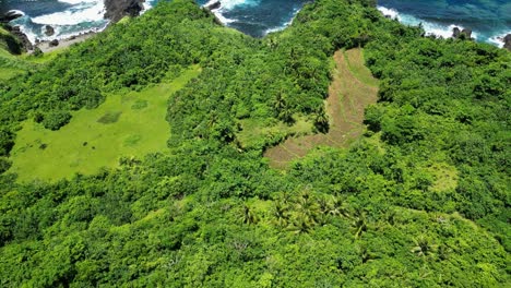 aerial dolly bird's eye view of terraced fields hidden in tropical forest on coastline of philippines