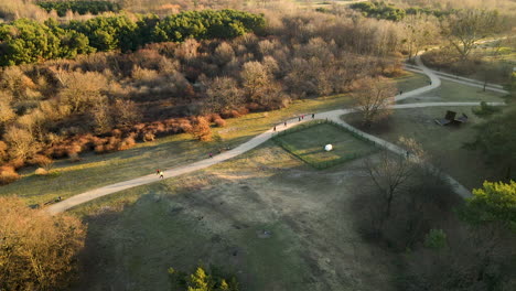 aerial view of people jogging on forest path during golden sunset in poland