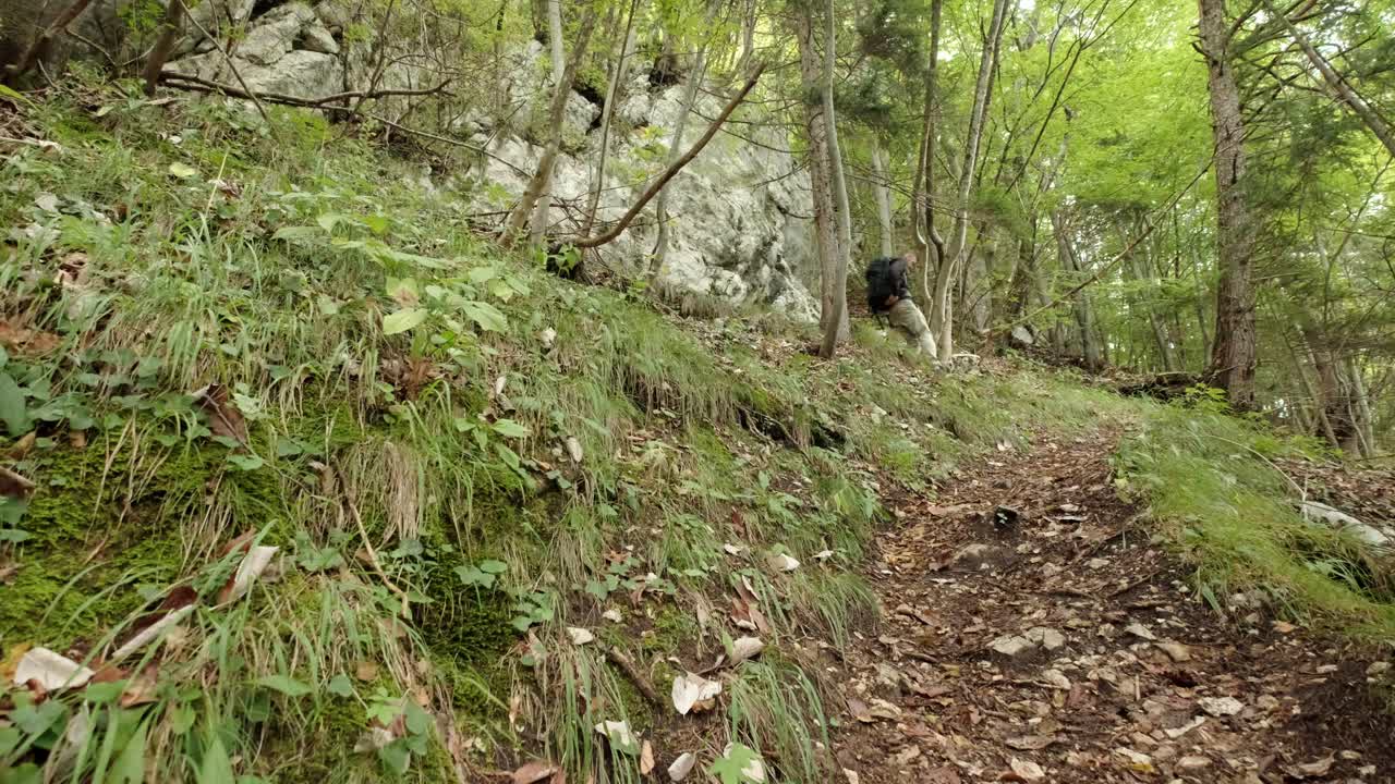 un hombre caminando por un bosque muy verde en un día nublado en eslovenia ubicado cerca del pueblo de gozd martuljek-4