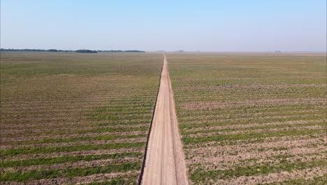 Rustic-dirt-road-winding-through-the-heart-of-a-picturesque-countryside-field,-providing-a-scenic-route-for-rural-exploration