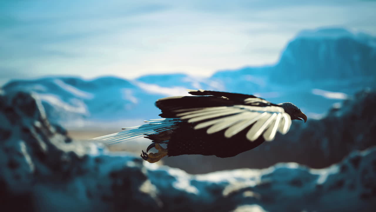 Eagle in flight over majestic mountains during bright daylight