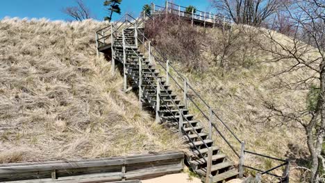 Rising-above-the-great-lakes-dunes