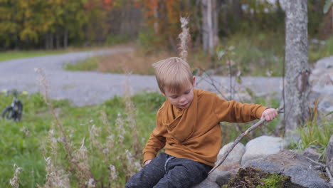 full shot of child boy playing with sticks and collecting moss playing outdoors