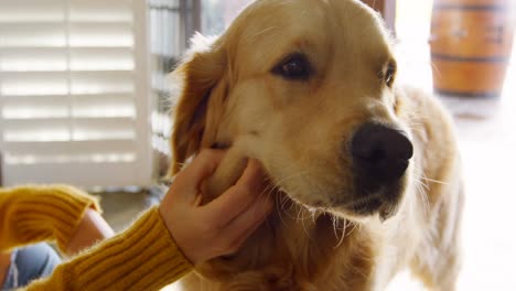 Hermosa-Mujer-Acariciando-A-Su-Perro-4k