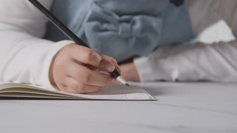 foto de estudio de una joven en la mesa concentrándose en escribir en el libro escolar