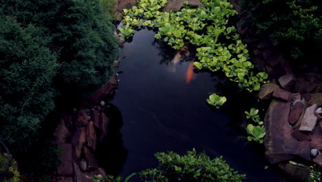 Zeitraffer-Und-Langzeitbelichtung-Eines-Süßwasserteiches