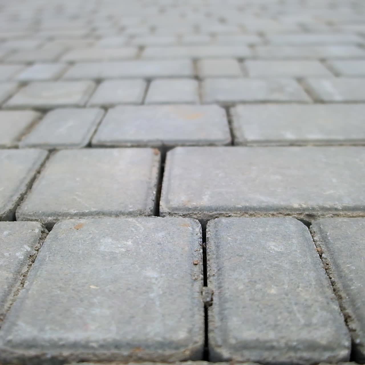 Pavement made of grey brick of diverse size. Going along the concrete paving slabs. Close up