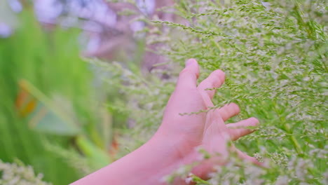 Girl-hand-moving-over-grass-field-with-white-green-flowers