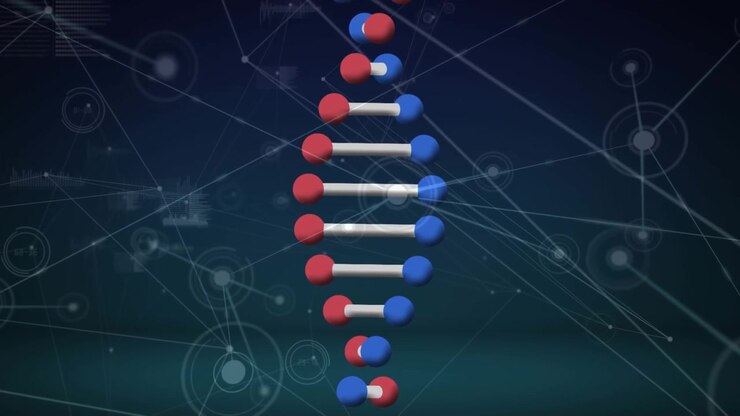 Animation of dna strand over data processing