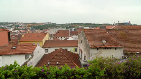 red tile roofs of houses in coimbra in portugal