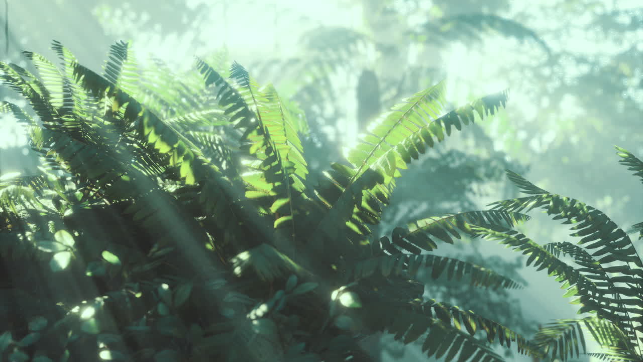 Sunlight filters through lush fern leaves in a tranquil forest setting