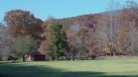 Landschaft-Im-Herbst-Mit-Bäumen-Und-Gras