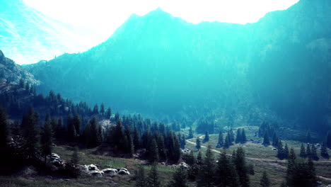 Sinuoso-Camino-De-Montaña-Sobre-Prados-Alpinos-Al-Borde-Del-Bosque