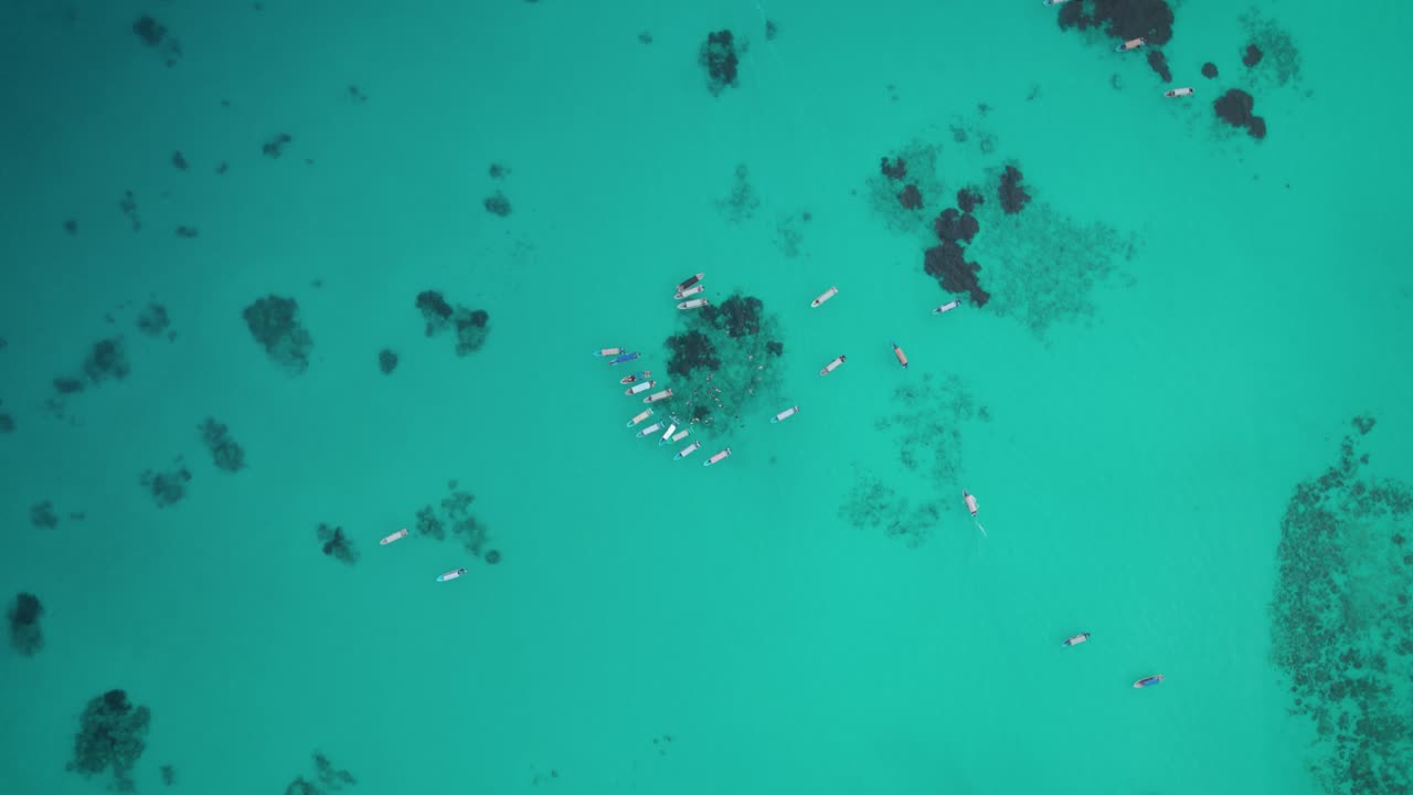 Mnemba Island, Nungwi, Zanzibar, Tanzania- 18 June 2024: Drone view of tourists chasing and swimming with the dolphins in Mnemba Island in Zanzibar