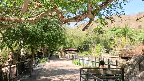 a serene walkway shaded by trees, offering a peaceful escape into nature.